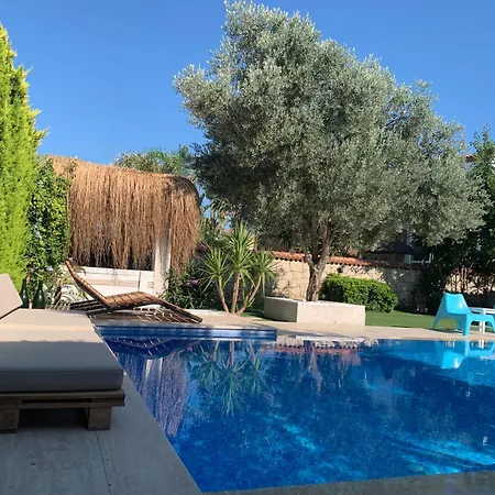 Purlen Отель типа 